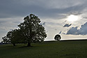 On plains - main link