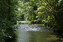Kamenice - hlavn odkaz