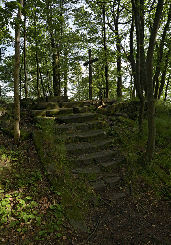 On the top of "Rose Hill" - larger format