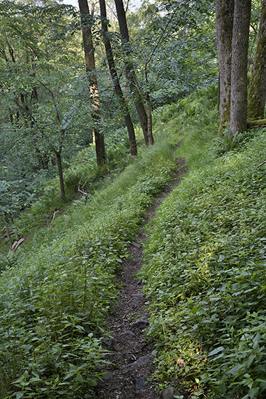 On descent - smaller format