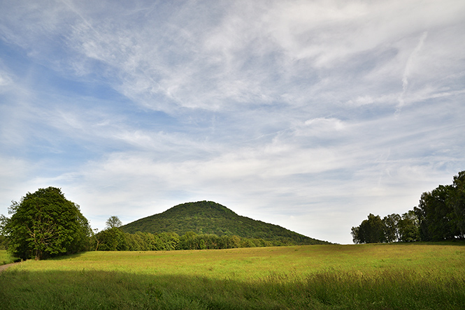 Farewell to "Rose Hill" - smaller format