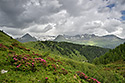 Panorama - main link