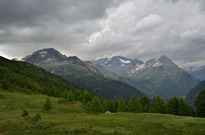 Almerhorn - smaller format