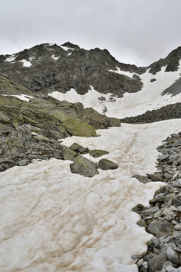 Remains of snow - smaller format