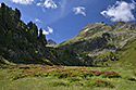 Na horch - hlavn odkaz