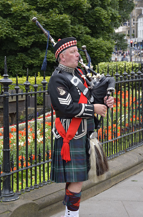 Scottish concentrate - larger format