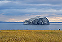 Bass Rock - hlavn odkaz