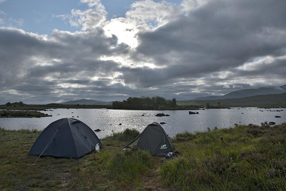 Morning in bog - larger format