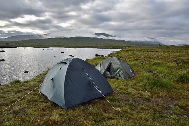 Morning in bog - smaller format