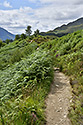 Path to the viaduct - main link
