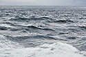 Sea - main link