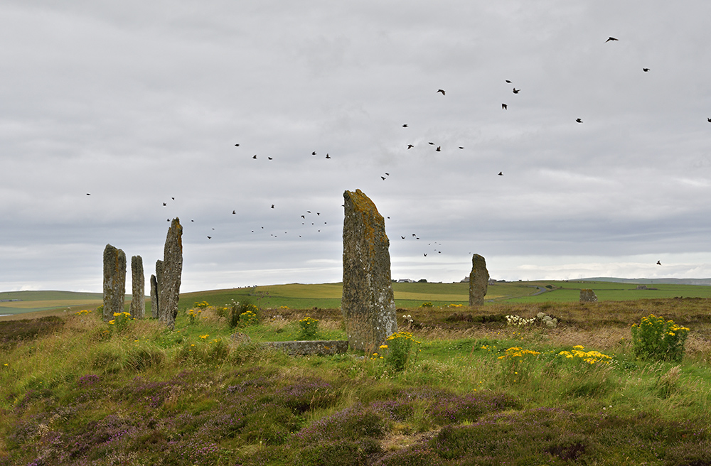 Ring of Brodgar - vt formt