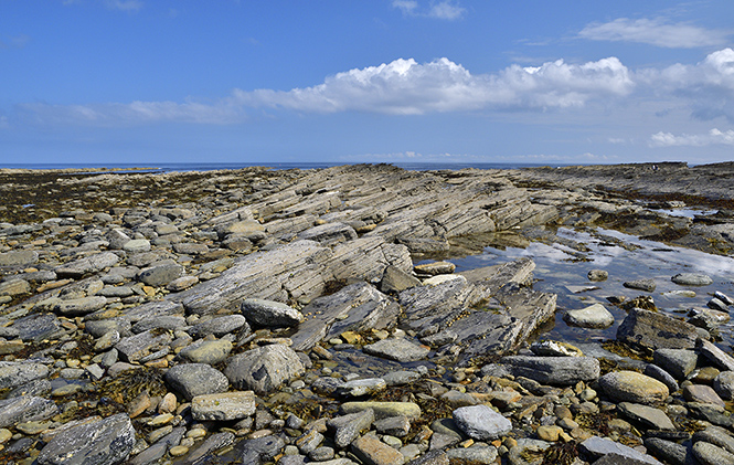 Low tide desert - smaller format