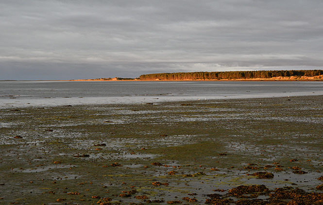 Evening light - smaller format