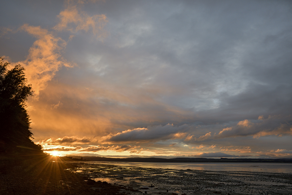 Evening light - larger format