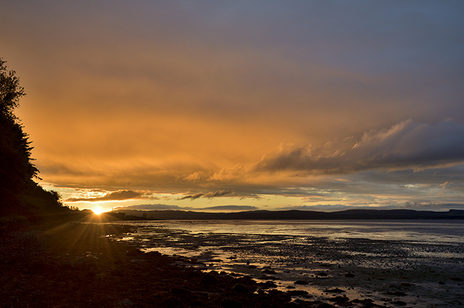 Evening light - smaller format
