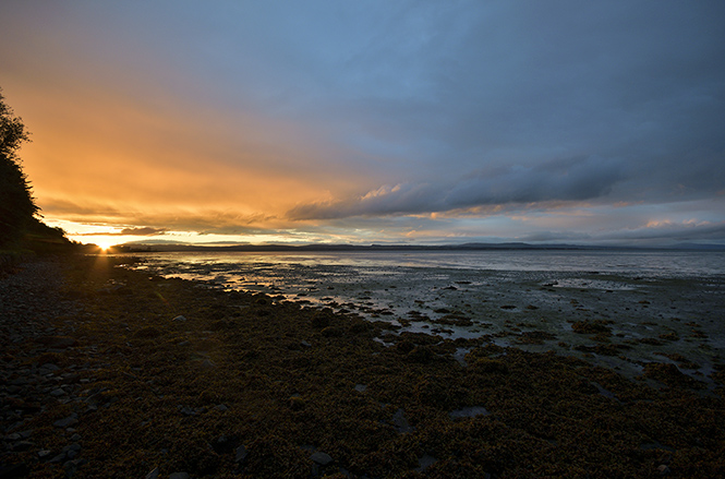 Evening light - smaller format