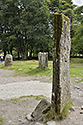 Stone ring - main link