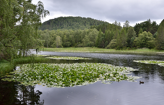 Lochan Mor - men formt