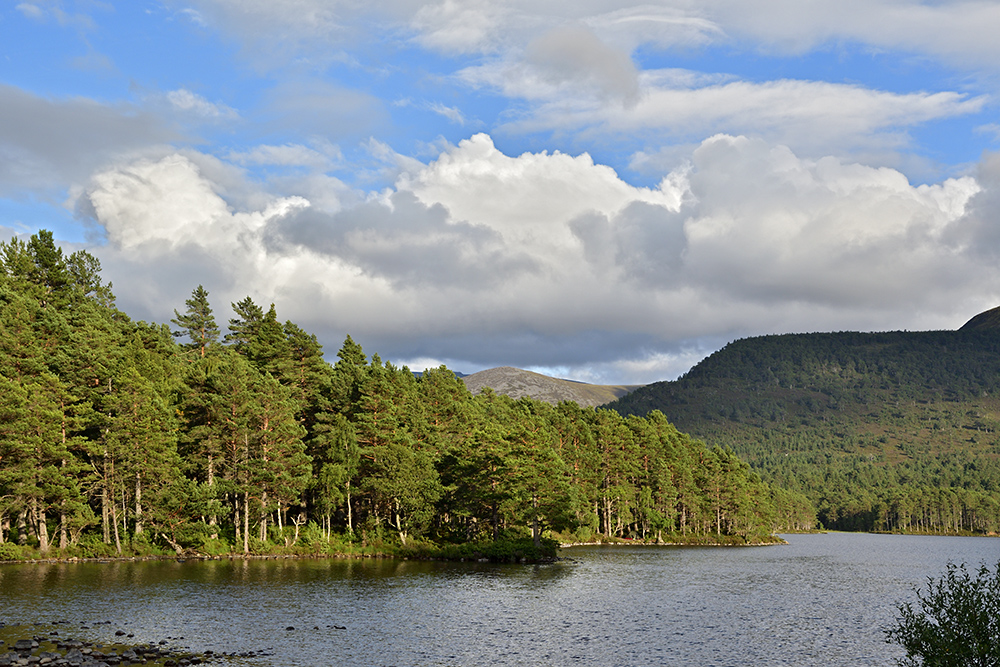 At the lake - larger format