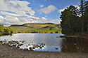 At the lake - main link