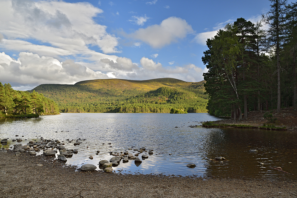 At the lake - larger format