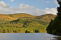 At the lake - main link