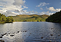 At the lake - main link