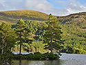 At the lake - main link
