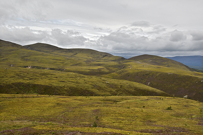 The face of Highlands - smaller format