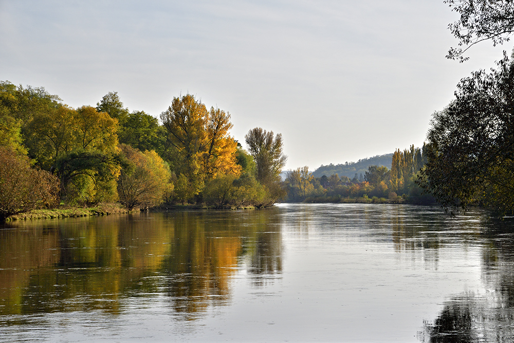 Vltava - vt formt