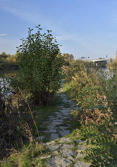 At "Vltava" river - smaller format