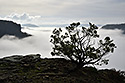 Over the cayon - main link