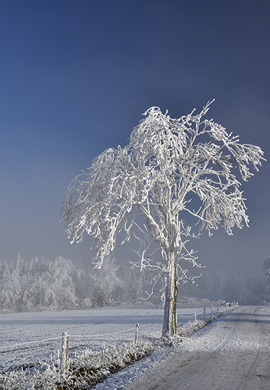 Rime - smaller format