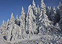 Kehk krsa - hlavn odkaz