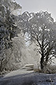 Kehk krsa - hlavn odkaz