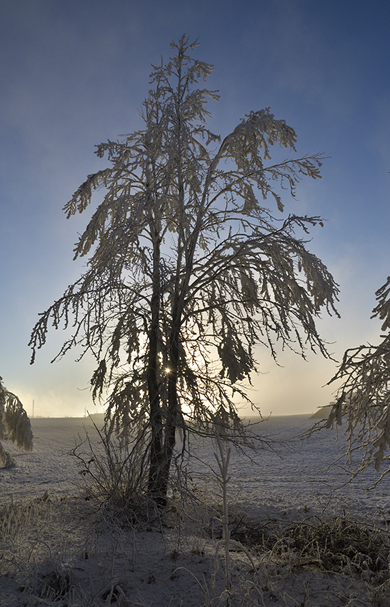 Rime - larger format