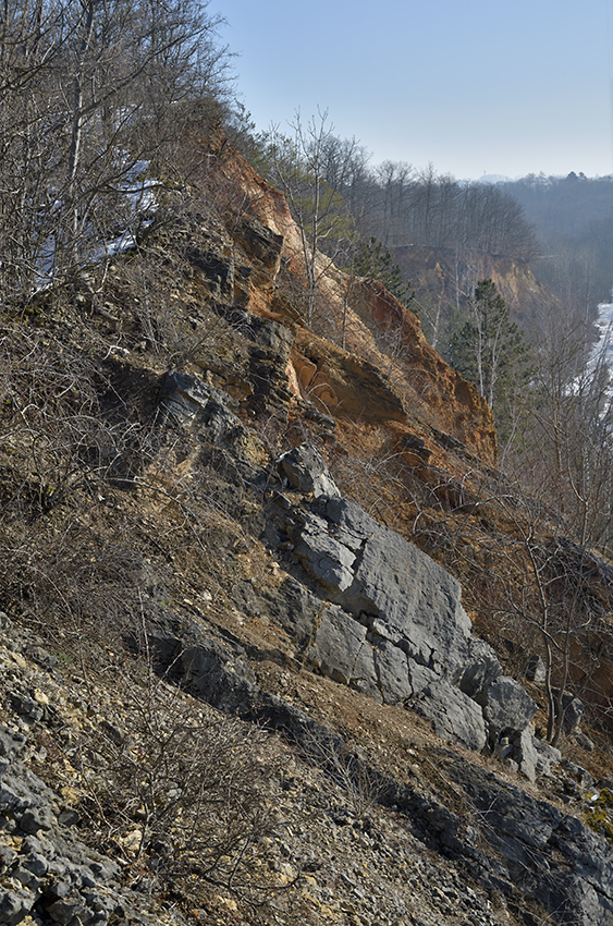 The "Solway Quarry" - larger format