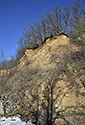 Na Parapleti - hlavn odkaz