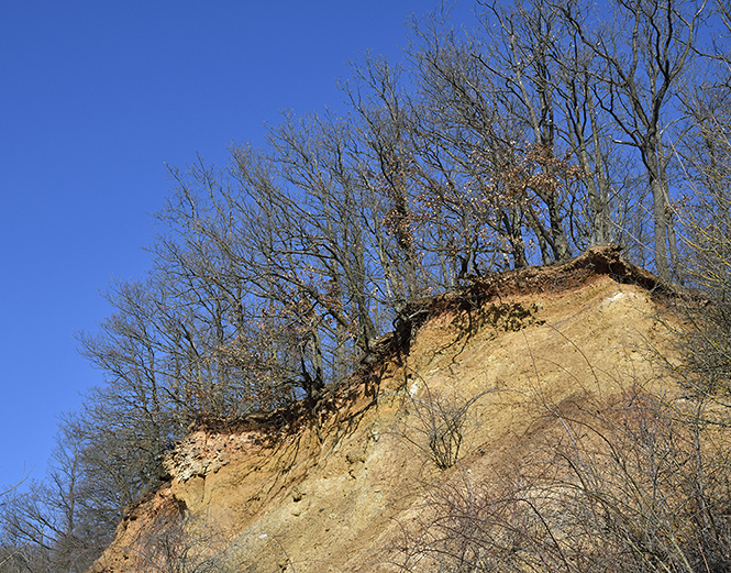 The "Solway Quarry" - smaller format