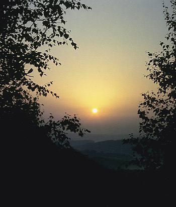 Sunrise in yellow - smaller format