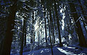 Mysterium svtla - hlavn odkaz