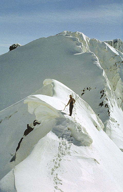 Cornice on the "Kings Court" - larger format