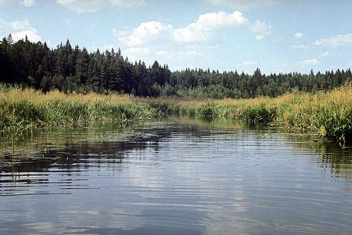 "Stakov lake" - smaller format