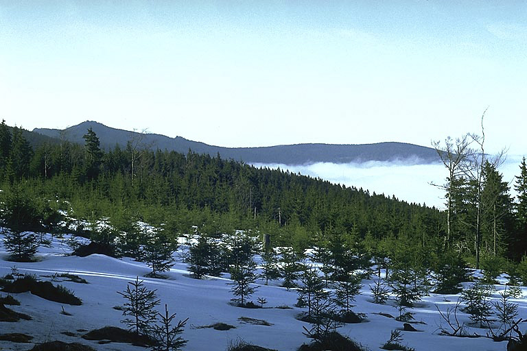 Inversion clouds under "Sharp Mount" - larger format