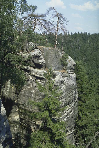 Okrajovky nad Ptam pkopem - men formt