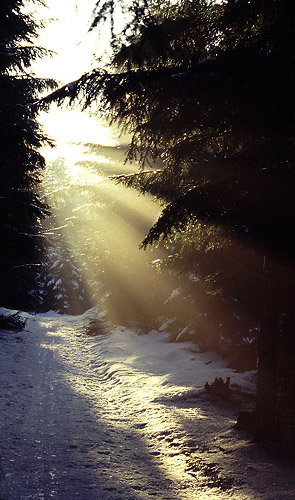 Light and shadow - smaller format