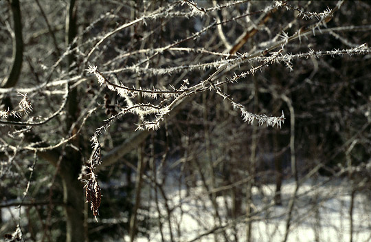 Ice accretion - smaller format