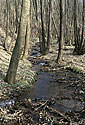 In "Krov Valley" - main link