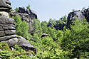 "Fox Gorge" - main link